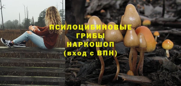 герыч Михайлов