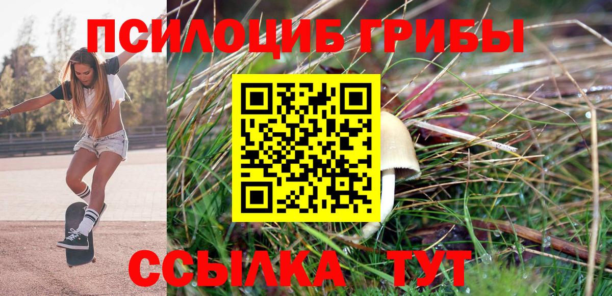 Галлюциногенные грибы MAGIC MUSHROOMS Долгопрудный