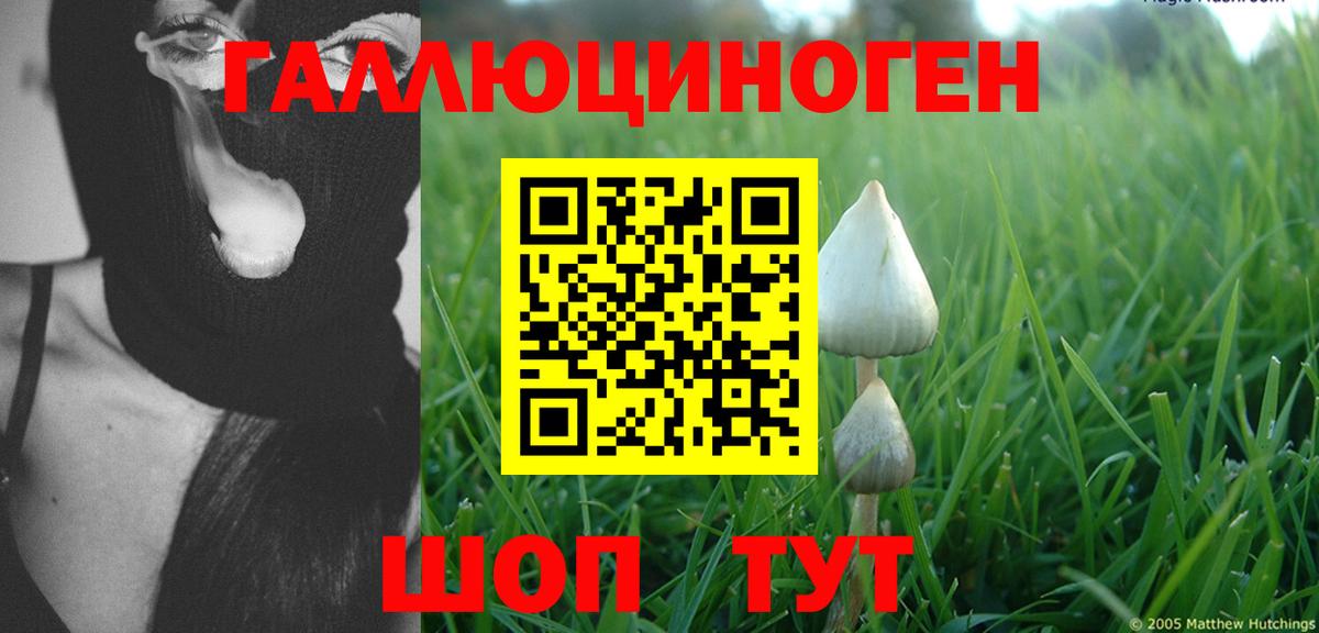 Галлюциногенные грибы Cubensis  хочу   Долгопрудный 